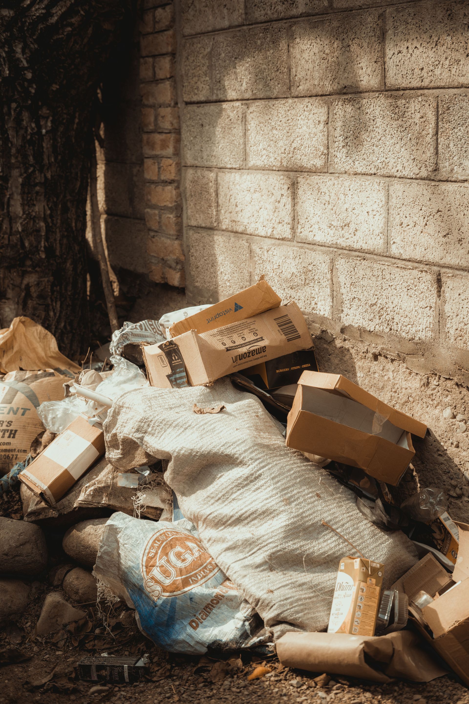 Discarded cardboard boxes and garbage next to a concrete wall and tree.